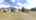Blurred preview of media: 2-Daffodil-Drive-04112025_181836