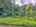 Blurred preview of media: DJI_20250616143905_0780_D_1_D_2_D_easyHDR