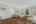Blurred preview of media: DSC03336