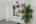 Blurred preview of media: 74 Joshua Street web-6