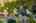 Blurred preview of media: DJI_0763