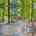 Blurred preview of media: 1-926-7927