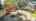 Blurred preview of media: IMG_0770
