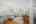 Blurred preview of media: DSC09362