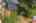 Blurred preview of media: Aerial 03