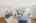 Blurred preview of media: 2bobwhite_027