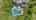 Blurred preview of media: 4_Randolph_Ct_0051