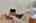 Blurred preview of media: 6243Cecilyann-10