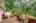 Blurred preview of media: 67 Quaker Lane Bolton Massachusetts Job 39838 0016