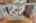 Blurred preview of media: 592 Sugar Road Bolton Massachusetts Job 38874 0040
