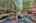 Blurred preview of media: 9zj