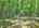 Blurred preview of media: DJI_20260608135709_0509_D_10_D_11_D_easyHDR