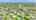 Blurred preview of media: DJI_0533 copy