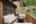 Blurred preview of media: 285 Silver Queen Drive, Breckenridge, CO 80424-Web-55