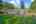 Blurred preview of media: DSC09452