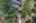 Blurred preview of media: 1580 Blakcomb Ct Aerial 00096-Edit