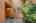 Blurred preview of media: 1-6