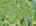 Blurred preview of media: DJI_20260527103449_0001_D_998_D_999_D_easyHDR