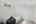 Blurred preview of media: 74 Joshua Street web-34