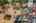 Blurred preview of media: Interior Pro Images 24625 Gilmore St-110