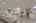 Blurred preview of media: 260140-28