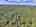 Blurred preview of media: DJI_20260829152924_0459_D_60_D_61_D_easyHDR