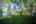 Blurred preview of media: TEL00511-HDR