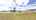 Blurred preview of media: 2-Daffodil-Drive-04112025_181904
