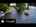 Blurred preview of media: Unknown media