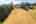 Blurred preview of media: 78-21290_SW_Eastview_Rd
