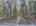 Blurred preview of media: DJI_20260505133826_0781_D_2_D_3_D_easyHDR