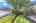 Blurred preview of media: DSC07256