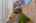 Blurred preview of media: DSC06479