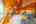 Blurred preview of media: TEL00631-HDR