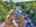 Blurred preview of media: 9zzzs