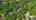 Blurred preview of media: Stonegate-2