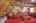Blurred preview of media: IMG_9442_3_4