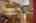 Blurred preview of media: 15