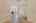 Blurred preview of media: 8510EspanolaDr_HighRes-5