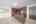Blurred preview of media: DSC01203