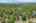 Blurred preview of media: DJI_0049