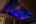 Blurred preview of media: 2025_01_January_47_Major_Ridge_Rd_0155