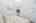 Blurred preview of media: 39