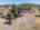 Blurred preview of media: Montecito_Way_67
