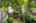 Blurred preview of media: 1-2