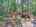 Blurred preview of media: DJI_20250603145137_0668_D_69_D_70_D_easyHDR