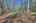Blurred preview of media: IMG_9760_1_2_easyHDR