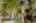 Blurred preview of media: Aerial 06