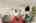 Blurred preview of media: 1-26
