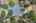 Blurred preview of media: 1580 Blakcomb Ct Aerial 00056-Edit